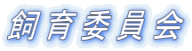 ψ