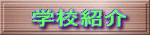 wZЉ 